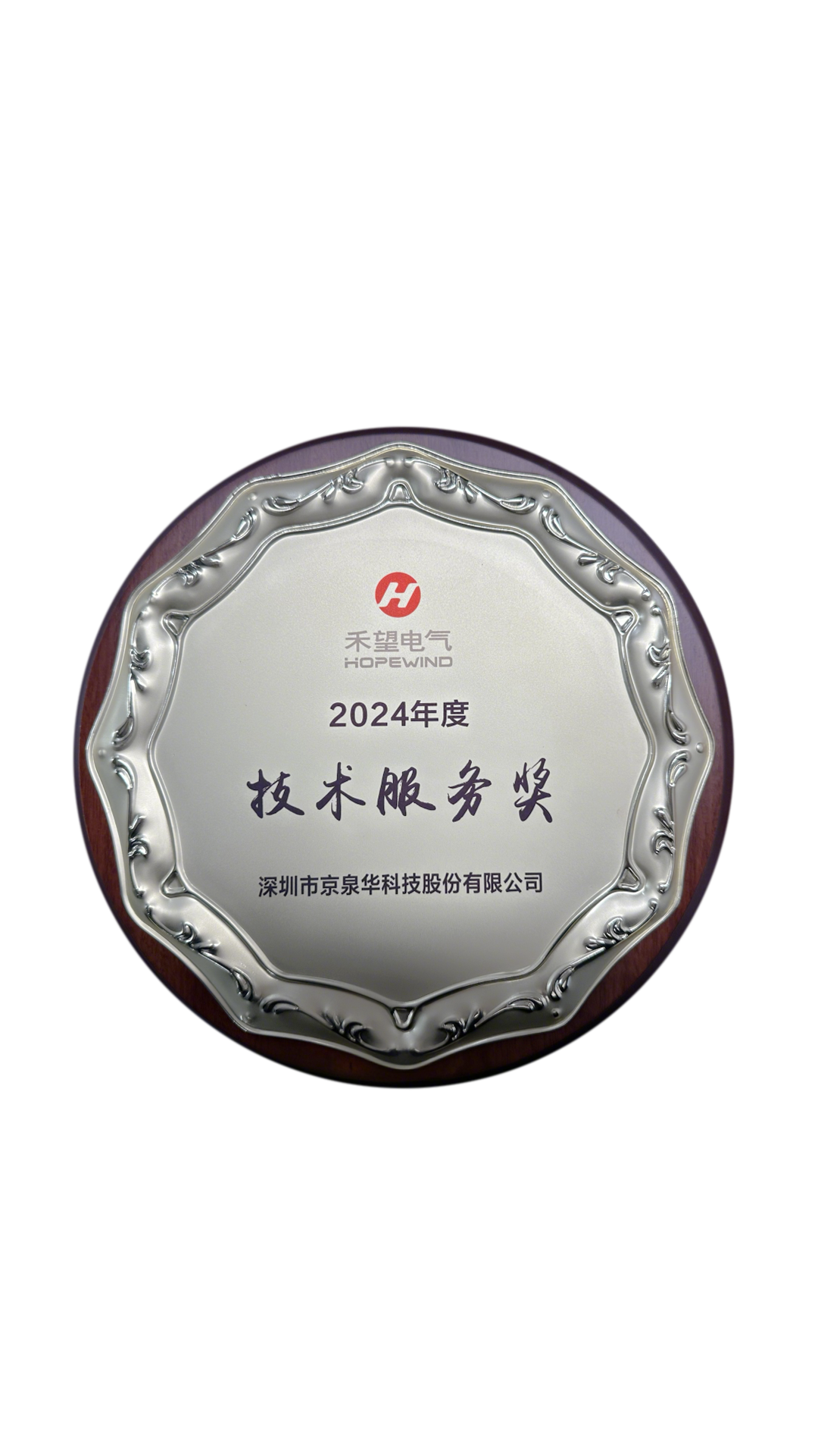 禾望电气-技术服务奖