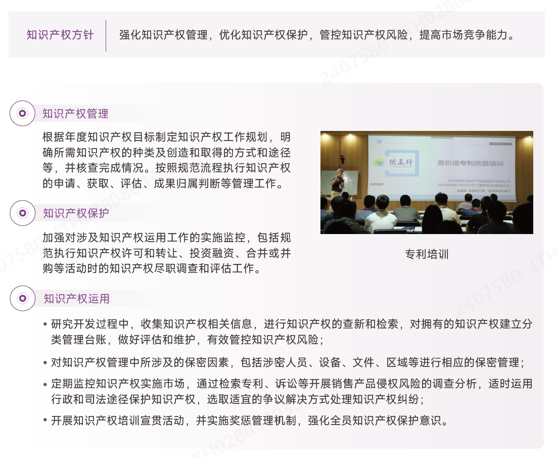 知识产权保护方案.png